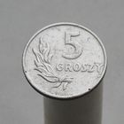 Польша 5 грошей 1949 Алюминий  20mm