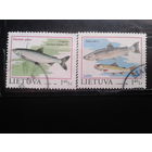Литва 1998 Рыбы Полная серия