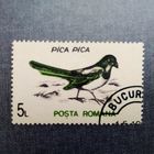 Марка Румыния 1993 год Птицы