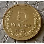 5 копеек 1975 года.