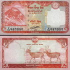 Непал 20 рупий 2020 год UNC (Два оленя)