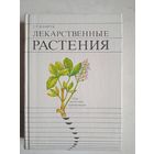 Лекарственные растения.сбор,заготовка,применение