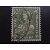 Кения, Уганда, Таньганьика 1960 стандарт королева, цветы