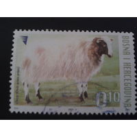 Босния и Герцоговина  2007 стандарт, овца
