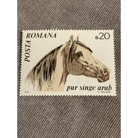 Румыния 1970. Породы лошадей. Марка из серии