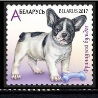 Беларусь 2017 Фауна Французский бульдог **
