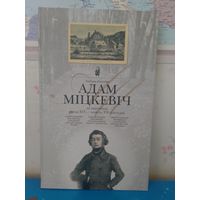 УЛАДЗІМІР ЛІХАДЗЕДАЎ.  У ПОШУКАХ СТРАЧАНАГА.  "АДАМ МІЦКЕВІЧ НА ПАШТОЎКАХ КАНЦА XIX - ПАЧАТКУ  XX СТАГОДДЗЯ". 2008 ГОД. НАДРУКАВАНА  Ў БЕЛАСТОКУ.