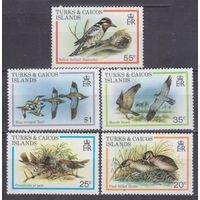 1980 Острова Теркс и Кайкос 481-485 Птицы 9,50 евро