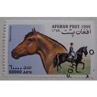 Афганистан.1999.лошади