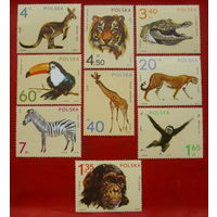 Польша. Животные. ( 9 марок ) 1972 года.