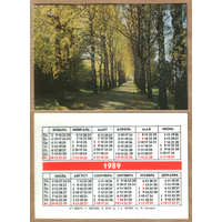 Календарь Природа (08879) 1989