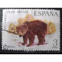 Испания 1971 Медведь