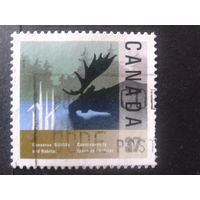 Канада 1988 лось
