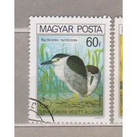 Птицы  Фауна  Венгрия 1980 год лот 1071