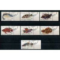 Танзания - 1991г. - рыбки - 7 марок - полная серия, гашёные с клеем [Mi 1040-1046]. Без МЦ!