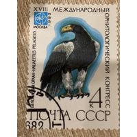СССР 1982. Белоголовый орлан. Марка из серии