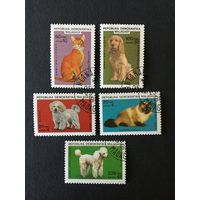Собаки и кошки. Мадагаскар, 1985, серия 5 марок