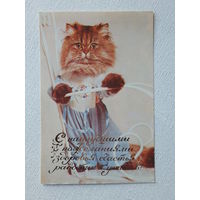 Рекламная открытка Тирасполь 1988 10х15 см