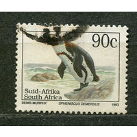 Животные Красной книги. Африканский пингвин. Южная Африка. 1993