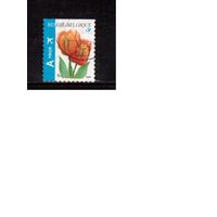 Бельгия-2008 (Мих.3833) ,  гаш. , Флора, Цветы, Стандарт