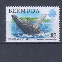 [744] Британские колонии. Бермуды 1978. Елизавета II.Фауна.Кит. Высокий номинал. MNH. Кат.4 е.