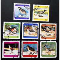 Стаффа. Шотландия 1978 г. Птицы. Фауна, полная серия из 8 марок #0053-Ф2P10