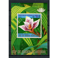 Экваториальная Гвинея - 1974 - Цветы и кактусы Северной Америки - [Mi. bl. 131] - 1 блок. MNH.