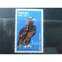 Израиль 1963 Птица** концевая Михель-4,0 евро