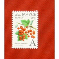 Беларусь. Стандарт. ( 1 марка ) 2004 года. 3-17.