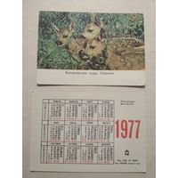 Карманный календарик. Беловежская пуща. Оленята .1977 год