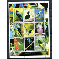 Гвинея - 1998г. - Птицы - полная серия, MNH - 1 малый лист