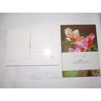Набор открыток с цветами ( 2 шт), Польша. Сердечные пожелания. в упаковке