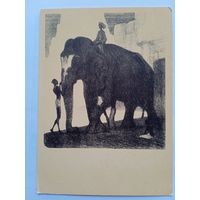 1959. Ватагин. Раскраска слона