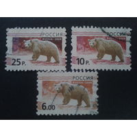 Россия 2008 стандарт, медведь