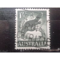 Австралия 1959 Утконос