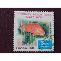 Мадагаскар 1982 г. Морская фауна.