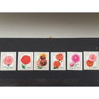 ГДР 1975 год. Международная выставка цветов (серия из 6 марок)