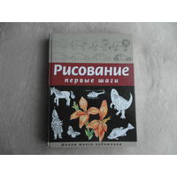 Селиверстова Д. Рисование. Первые шаги Школа юного художника. Рис. Мацыгин Г., Воробьев А. М. Москва Эксмо 2004 г.