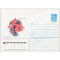 Художественный маркированный конверт СССР N 87-35 (22.01.1987) Аквариумные рыбы  Вуалехвост