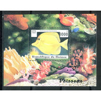 Гвинея - 1997г. - Рыбки - полная серия, MNH [Mi bl. 510] - 1 блок