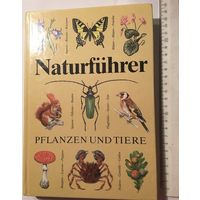 Путеводитель в природу Германии В мир насекомых растений Оригинальное издание Справочник определитель растения и животные на немецком языке Narurfuhrer pflanzen und tiere Издательство Германия 278 стр