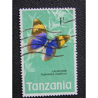 Танзания. Бабочка.