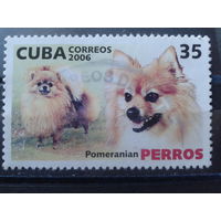 Куба 2006 Собаки