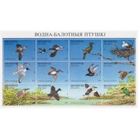 Беларусь 1996. Водно-болотные птицы.  Малый лист