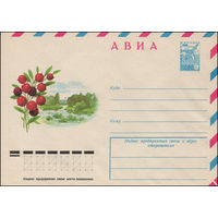 Художественный маркированный конверт СССР N 12212 (04.07.1977) АВИА  [Клюква]