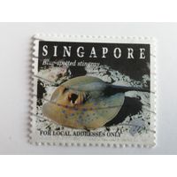 Сингапур 1994. Жизнь на коралловом рифе
