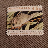 Австралия 1992. Little Pygny-Possum