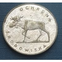 Серебро 0,625! Польша 100 злотых, 1978 Охрана окружающей среды - Лось