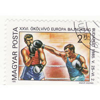 Чемпионат Европы по боксу, 1985, Будапешт 1985 год