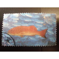 Китай 1998 рыба